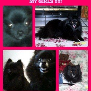 Meet your Posher, Gina